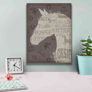 Epic Art 'Equine III' by James Wiens, Canvas Wall Art,12 x 16