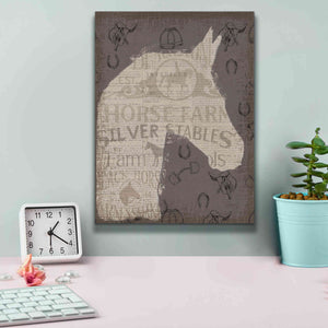 Epic Art 'Equine II' by James Wiens, Canvas Wall Art,12 x 16