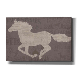 Epic Art 'Equine I' by James Wiens, Canvas Wall Art,18x12x1.1x0,26x18x1.1x0,40x26x1.74x0,60x40x1.74x0