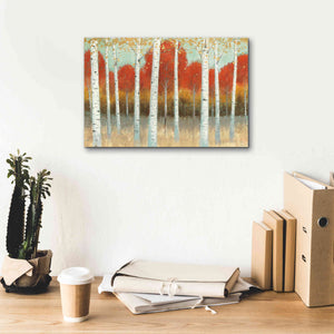 'Fall Promenade I' by James Wiens, Canvas Wall Art,18 x 12