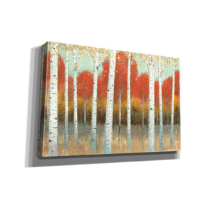 'Fall Promenade I' by James Wiens, Canvas Wall Art,18x12x1.1x0,26x18x1.1x0,40x26x1.74x0,60x40x1.74x0