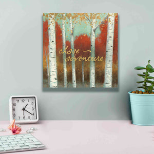 'Fall Promenade II' by James Wiens, Canvas Wall Art,12 x 12