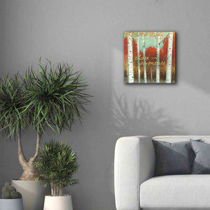 'Fall Promenade II' by James Wiens, Canvas Wall Art,18 x 18