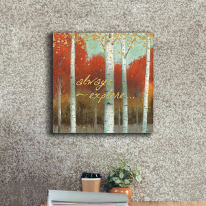 'Fall Promenade III' by James Wiens, Canvas Wall Art,18 x 18