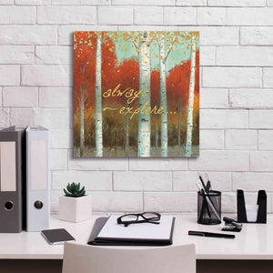 'Fall Promenade III' by James Wiens, Canvas Wall Art,18 x 18