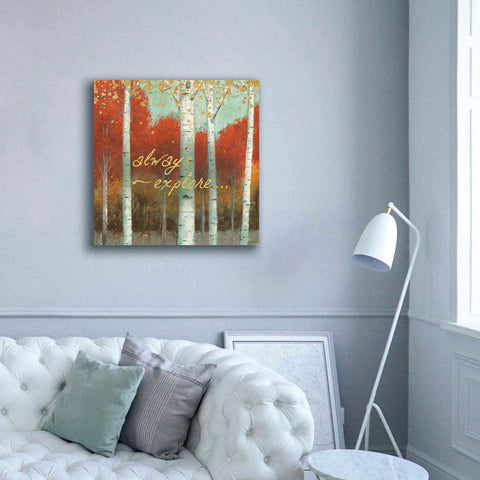 Image of 'Fall Promenade III' by James Wiens, Canvas Wall Art,37 x 37