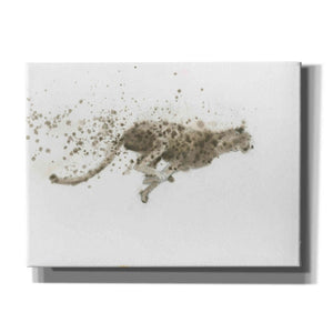 'Cheetah' by James Wiens, Canvas Wall Art,16x12x1.1x0,26x18x1.1x0,34x26x1.74x0,54x40x1.74x0