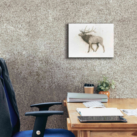 Image of 'Elk' by James Wiens, Canvas Wall Art,16 x 12