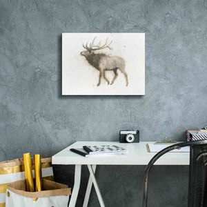 'Elk' by James Wiens, Canvas Wall Art,16 x 12