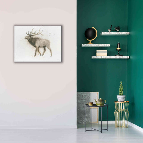 Image of 'Elk' by James Wiens, Canvas Wall Art,34 x 26