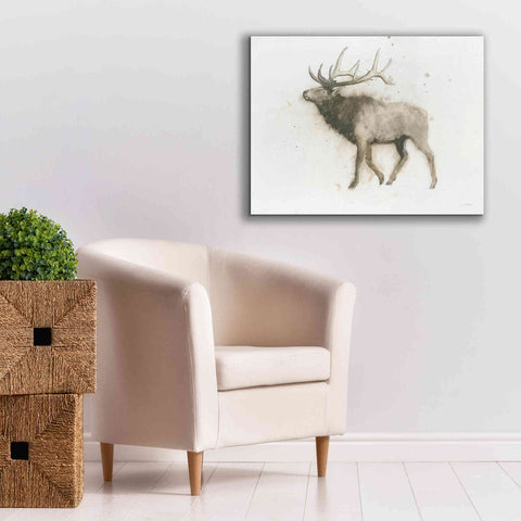 Image of 'Elk' by James Wiens, Canvas Wall Art,34 x 26