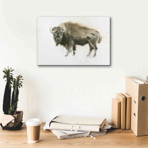 'Buffalo Bill' by James Wiens, Canvas Wall Art,18 x 12