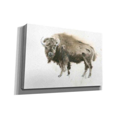 Image of 'Buffalo Bill' by James Wiens, Canvas Wall Art,18x12x1.1x0,26x18x1.1x0,40x26x1.74x0,60x40x1.74x0