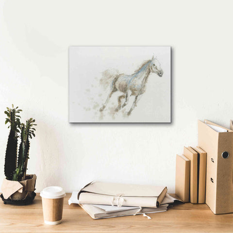 Image of 'Stallion I Horizontal' by James Wiens, Canvas Wall Art,16 x 12