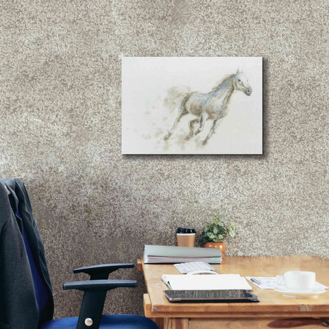 Image of 'Stallion I Horizontal' by James Wiens, Canvas Wall Art,24 x 20