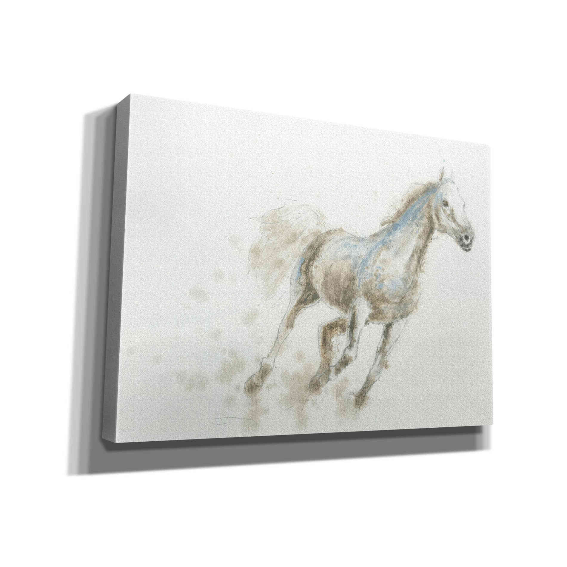'Stallion I Horizontal' by James Wiens, Canvas Wall Art,16x12x1.1x0,24x20x1.1x0,30x26x1.74x0,54x40x1.74x0