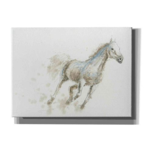 Image of 'Stallion I Horizontal' by James Wiens, Canvas Wall Art,16x12x1.1x0,24x20x1.1x0,30x26x1.74x0,54x40x1.74x0
