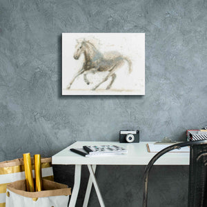 'Stallion II Horizontal' by James Wiens, Canvas Wall Art,16 x 12