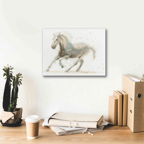 Image of 'Stallion II Horizontal' by James Wiens, Canvas Wall Art,16 x 12