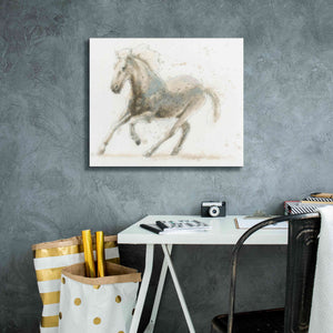 'Stallion II Horizontal' by James Wiens, Canvas Wall Art,24 x 20