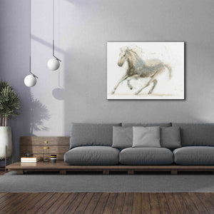 'Stallion II Horizontal' by James Wiens, Canvas Wall Art,54 x 40