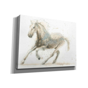 'Stallion II Horizontal' by James Wiens, Canvas Wall Art,16x12x1.1x0,24x20x1.1x0,30x26x1.74x0,54x40x1.74x0
