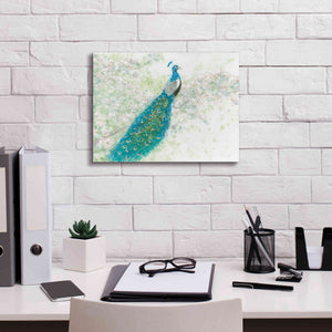 'Spring Peacock I' by James Wiens, Canvas Wall Art,16 x 12