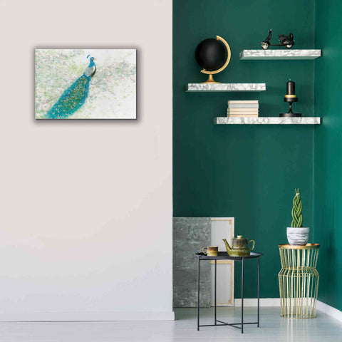 Image of 'Spring Peacock I' by James Wiens, Canvas Wall Art,26 x 18