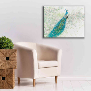 'Spring Peacock I' by James Wiens, Canvas Wall Art,34 x 26