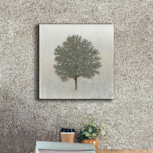 'Neutrality' by James Wiens, Canvas Wall Art,18 x 18