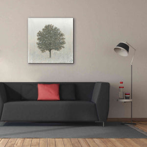 'Neutrality' by James Wiens, Canvas Wall Art,37 x 37