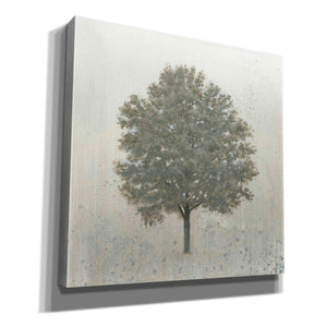 'Neutrality' by James Wiens, Canvas Wall Art,12x12x1.1x0,18x18x1.1x0,26x26x1.74x0,37x37x1.74x0