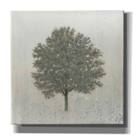 'Neutrality' by James Wiens, Canvas Wall Art,12x12x1.1x0,18x18x1.1x0,26x26x1.74x0,37x37x1.74x0
