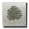 'Neutrality' by James Wiens, Canvas Wall Art,12x12x1.1x0,18x18x1.1x0,26x26x1.74x0,37x37x1.74x0