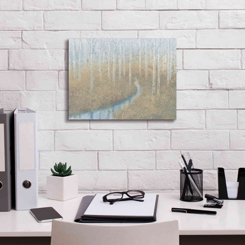 Image of 'Silver Waters' by James Wiens, Canvas Wall Art,16 x 12