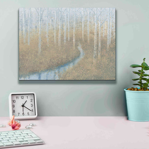 Image of 'Silver Waters' by James Wiens, Canvas Wall Art,16 x 12