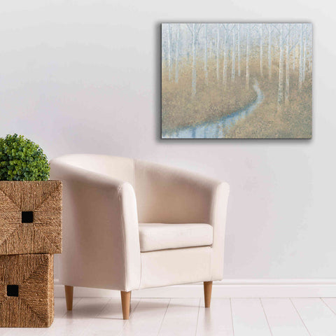 Image of 'Silver Waters' by James Wiens, Canvas Wall Art,34 x 26