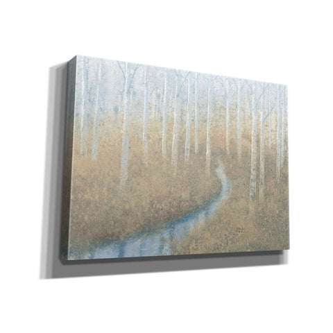 Image of 'Silver Waters' by James Wiens, Canvas Wall Art,16x12x1.1x0,26x18x1.1x0,34x26x1.74x0,54x40x1.74x0
