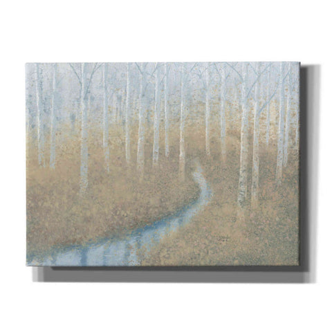 Image of 'Silver Waters' by James Wiens, Canvas Wall Art,16x12x1.1x0,26x18x1.1x0,34x26x1.74x0,54x40x1.74x0
