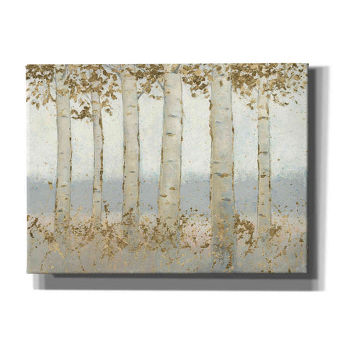 Image of 'Magnificent Birch Grove' by James Wiens, Canvas Wall Art,16x12x1.1x0,26x18x1.1x0,34x26x1.74x0,54x40x1.74x0
