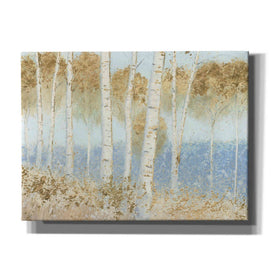 'Summer Birches' by James Wiens, Canvas Wall Art,16x12x1.1x0,26x18x1.1x0,34x26x1.74x0,54x40x1.74x0