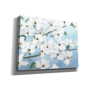 'Graceful Touch' by James Wiens, Canvas Wall Art,16x12x1.1x0,26x18x1.1x0,34x26x1.74x0,54x40x1.74x0