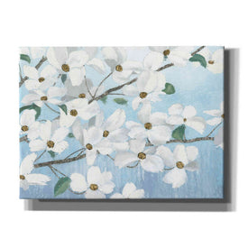 'Graceful Touch' by James Wiens, Canvas Wall Art,16x12x1.1x0,26x18x1.1x0,34x26x1.74x0,54x40x1.74x0