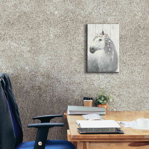 Image of 'Spirit Stallion II on wood' by James Wiens, Canvas Wall Art,12 x 18