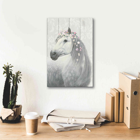 Image of 'Spirit Stallion II on wood' by James Wiens, Canvas Wall Art,12 x 18