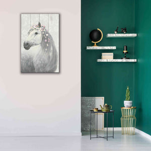 'Spirit Stallion II on wood' by James Wiens, Canvas Wall Art,26 x 40