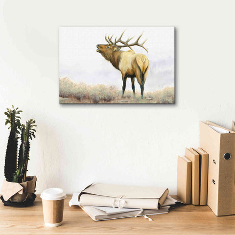 Image of 'Majestic Elk' by James Wiens, Canvas Wall Art,18 x 12