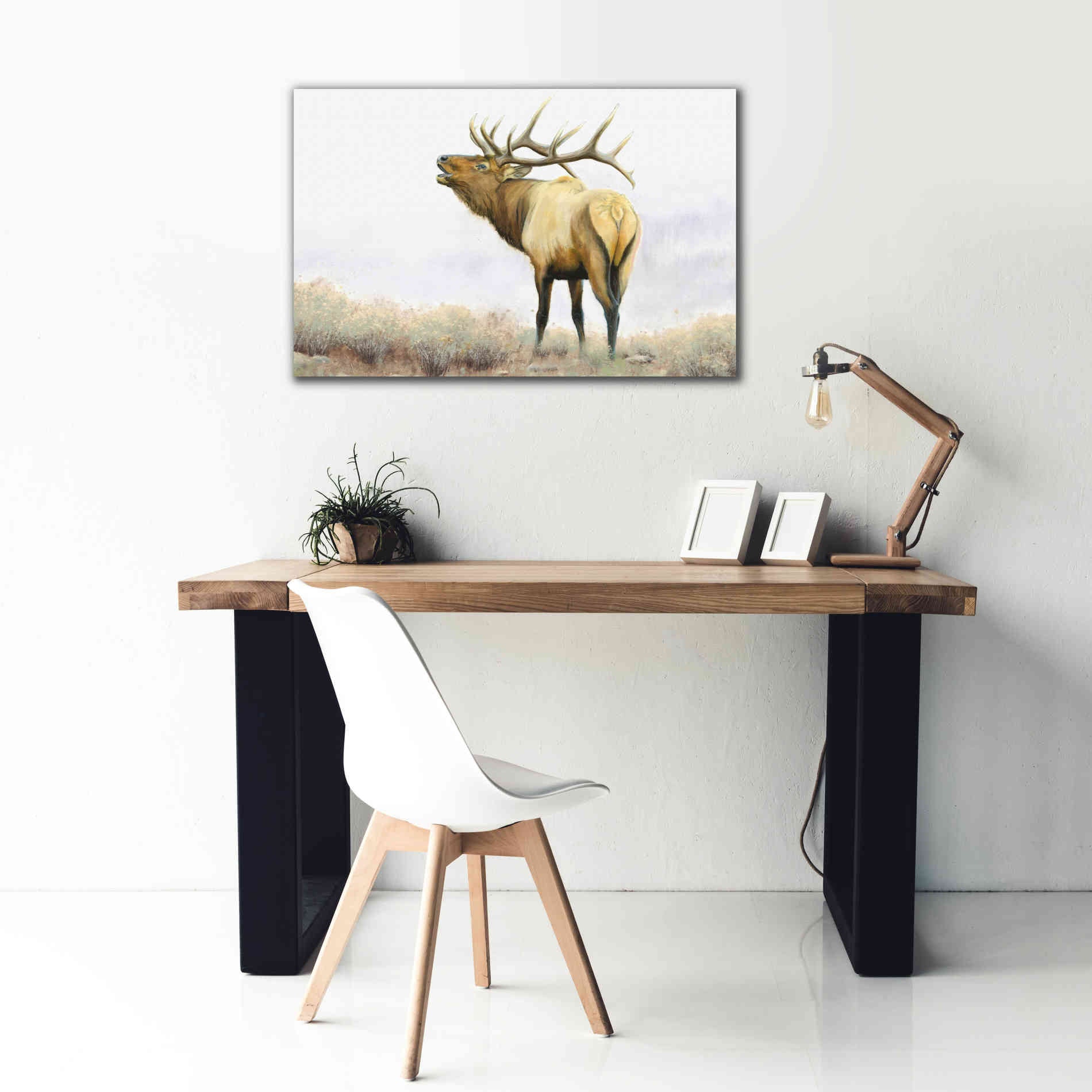 'Majestic Elk' by James Wiens, Canvas Wall Art,40 x 26