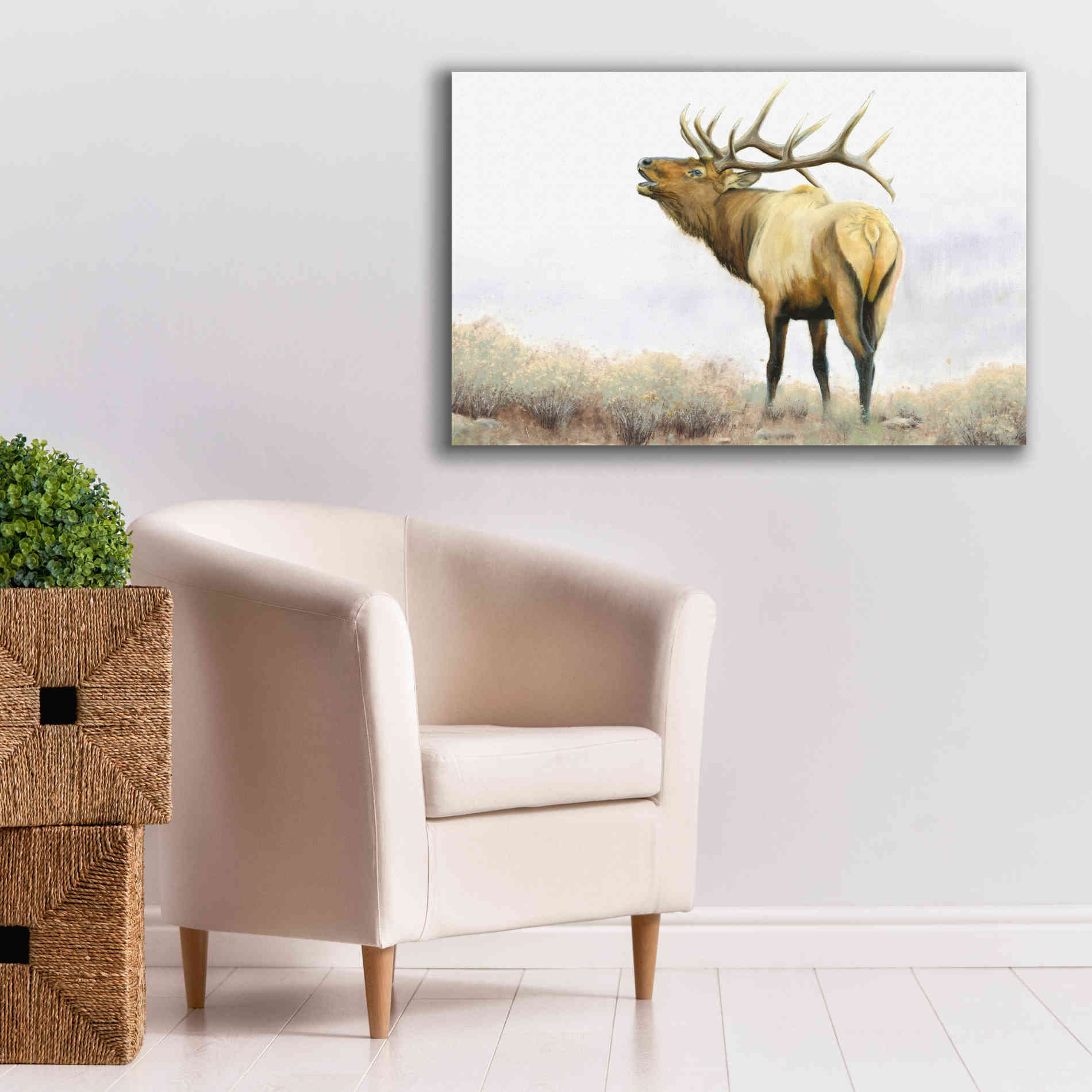 'Majestic Elk' by James Wiens, Canvas Wall Art,40 x 26