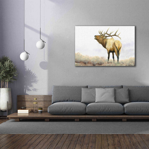 Image of 'Majestic Elk' by James Wiens, Canvas Wall Art,60 x 40